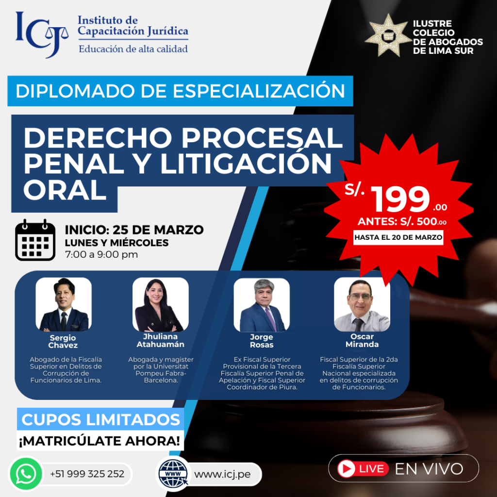 Diplomado En Derecho Procesal Penal Y Litigaci N Oral Instituto De