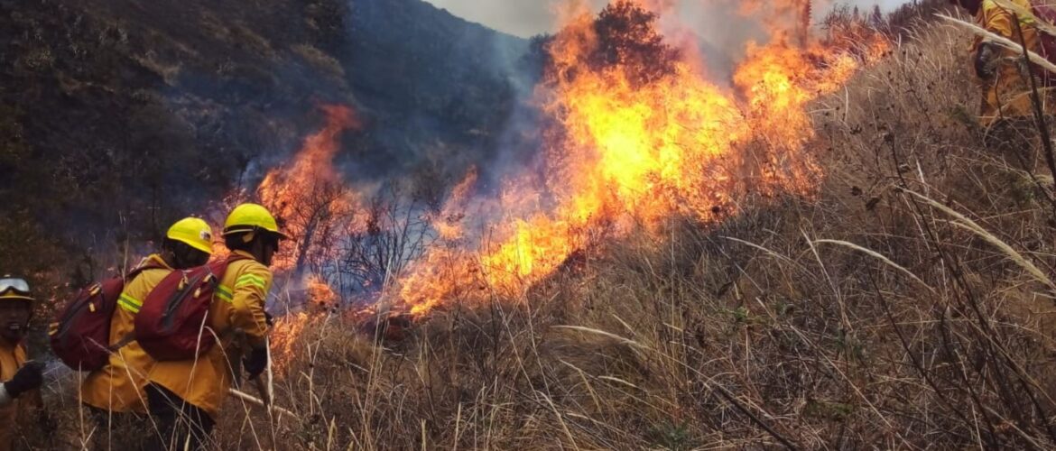 Incendio forestal
