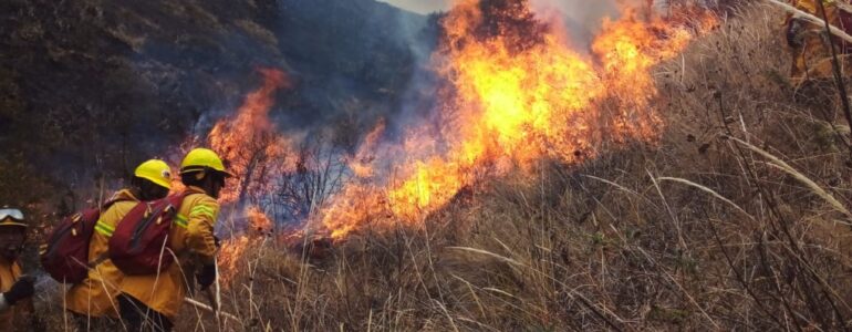 Incendio forestal